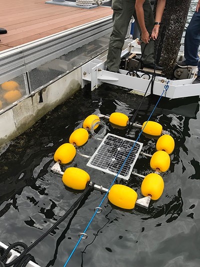 海に沈めて、フジツボなどの汚損生物の影響を経過観察する(写真提供/由井明紀)
