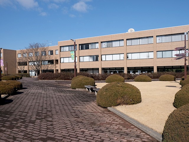 Main Image