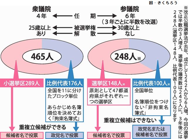 エンスタ640衆参.jpg