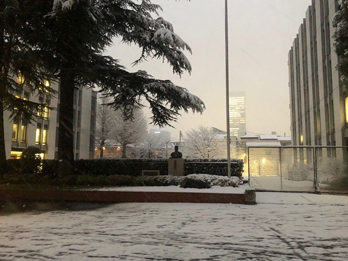 DHが始まった日の、雪の巣鴨中学高校=2022年1月6日、東京都豊島区