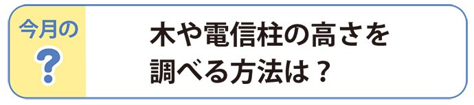 木や電信柱の高さを調べる方法は?