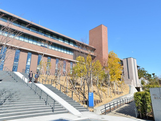 Main Image
