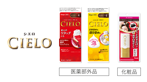 白髪があっても私が前向きでいられる理由 Aging Gracefully わたしらしく輝く