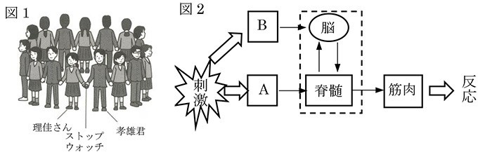 問題 理科 刺激と反応 腕試しｆｏｒフィフティーン 朝日新聞edua