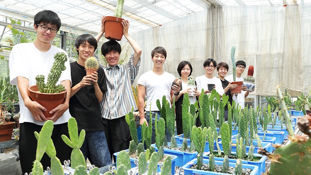 環境問題解決のカギは「サボテン」 中部大学堀部貴紀研究室|SDGs@大学