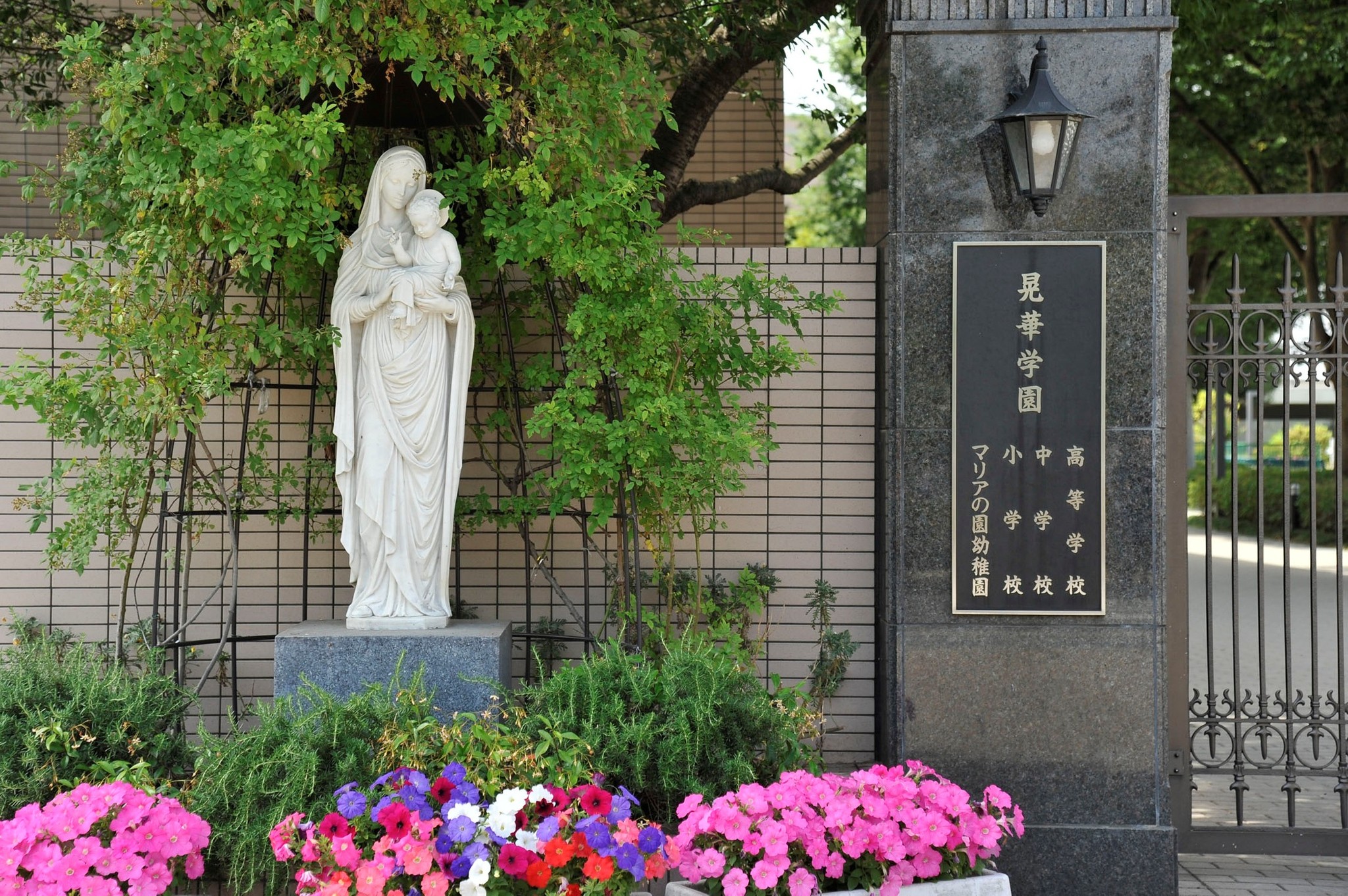 小児がん支援、地域清掃……興味掘り下げ論文に　晃華学園中高の探究...