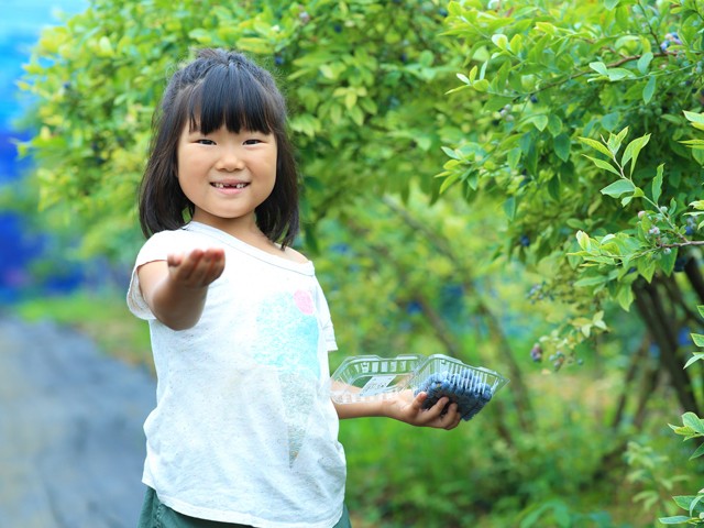 自然との触れ合いが非認知能力を伸ばす 植物を育てることがもたらす効果とは 学習と健康 成長 朝日新聞edua
